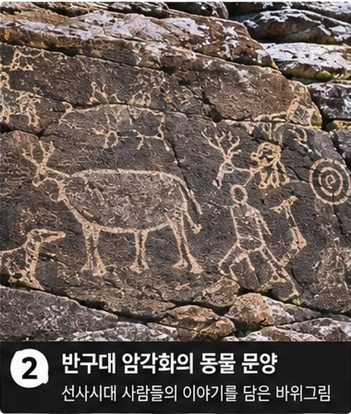 울산암각화박물관 암각화 공작소|9월 17일까지 가족 모집